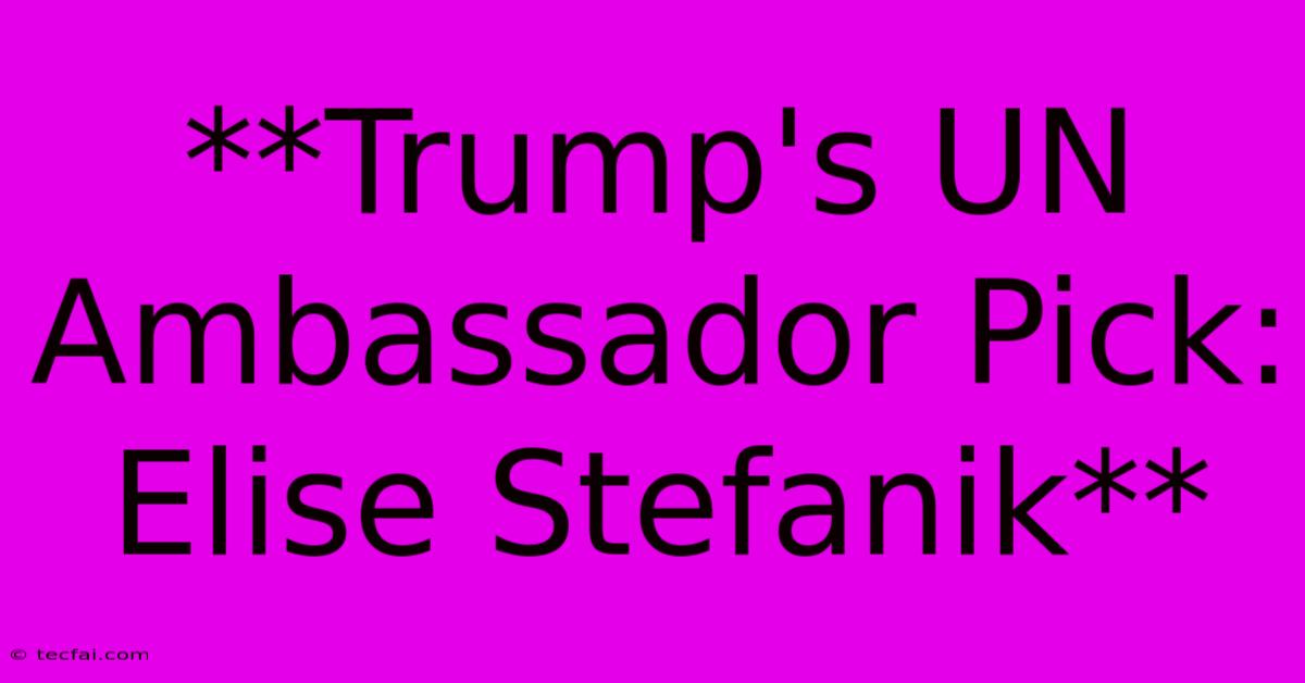 **Trump's UN Ambassador Pick: Elise Stefanik** 