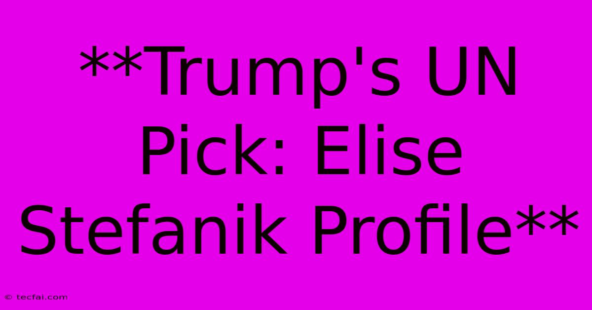 **Trump's UN Pick: Elise Stefanik Profile** 