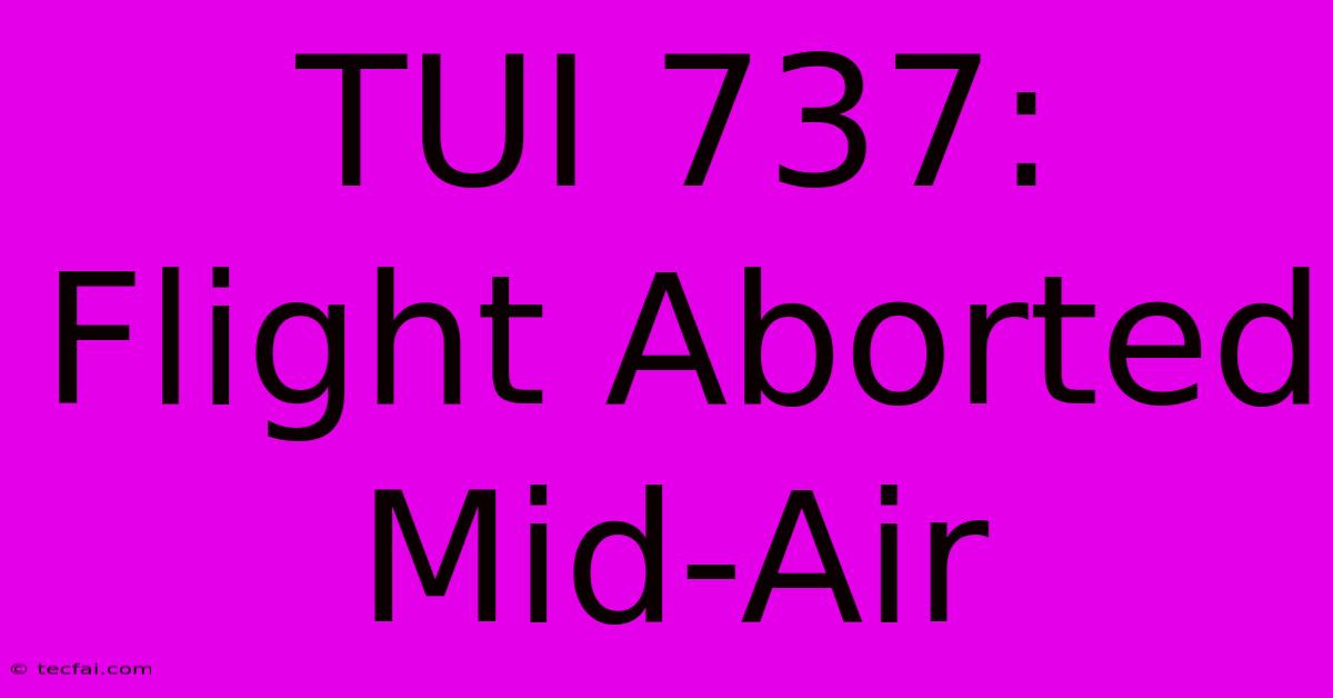 TUI 737: Flight Aborted Mid-Air