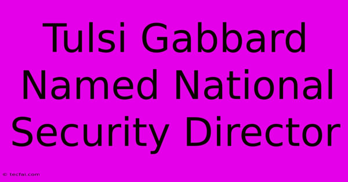 Tulsi Gabbard Named National Security Director 