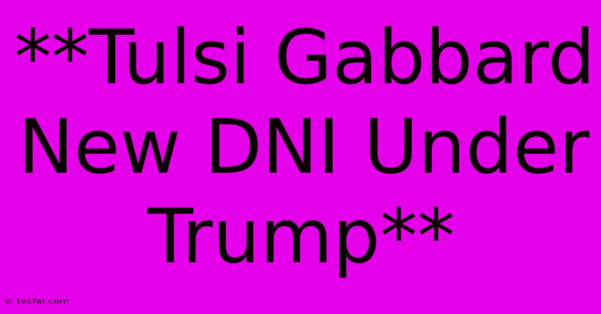 **Tulsi Gabbard New DNI Under Trump**