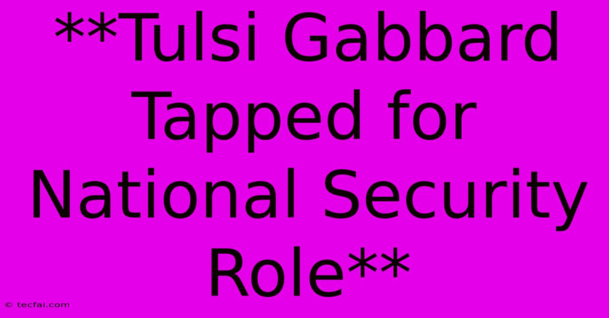 **Tulsi Gabbard Tapped For National Security Role**