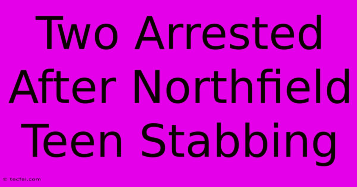 Two Arrested After Northfield Teen Stabbing