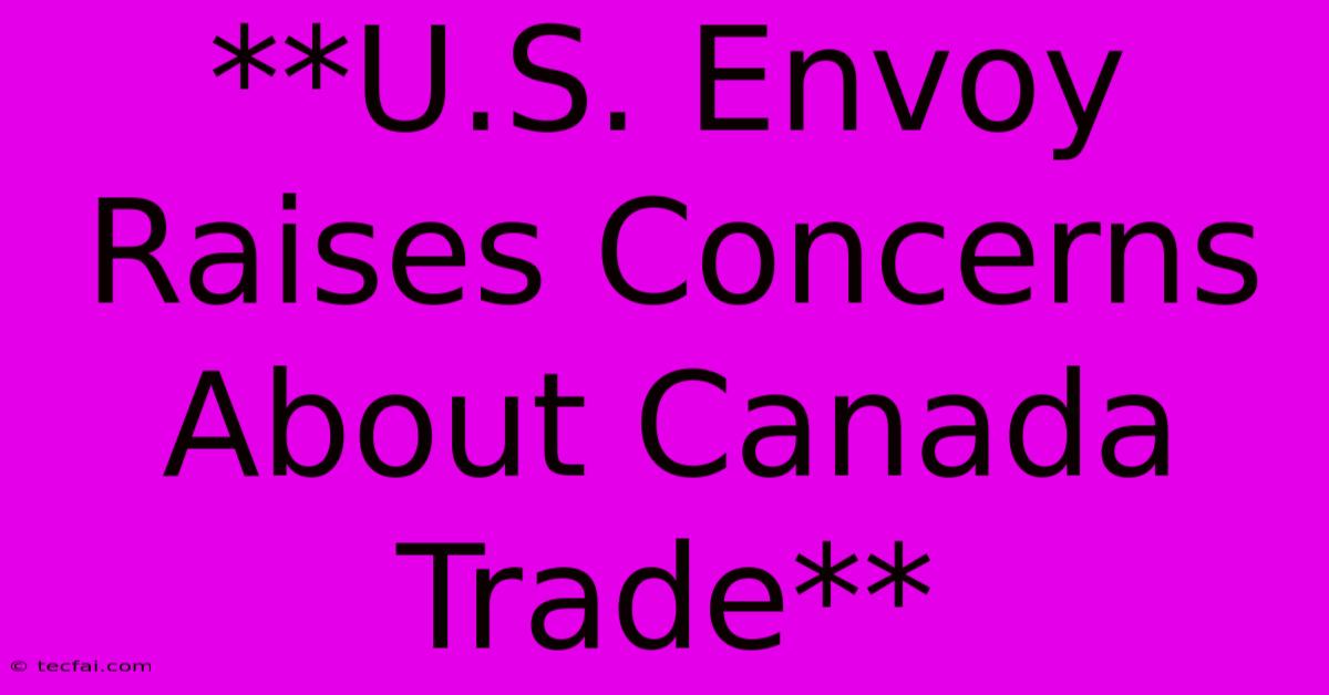 **U.S. Envoy Raises Concerns About Canada Trade**