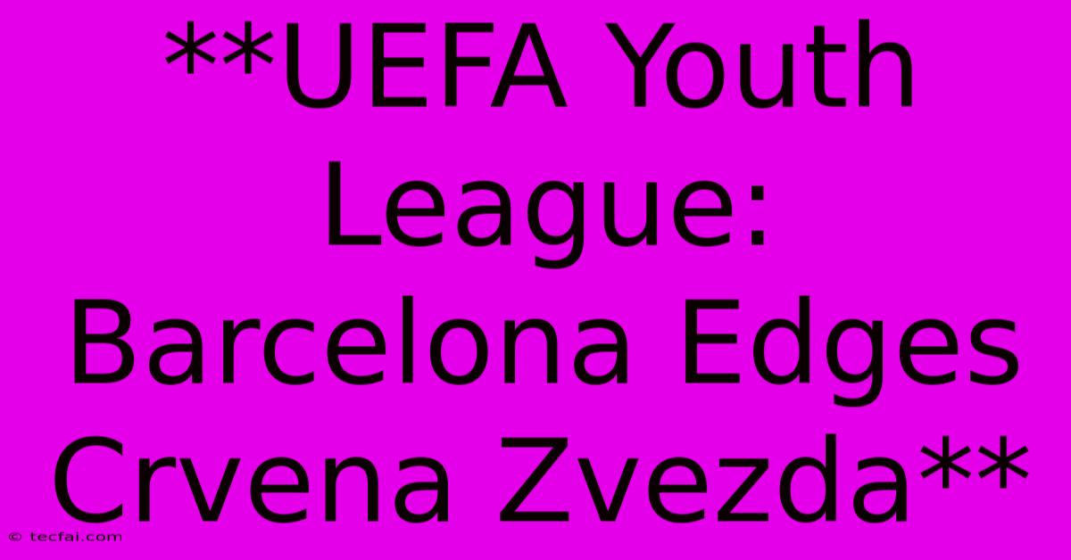 **UEFA Youth League: Barcelona Edges Crvena Zvezda**