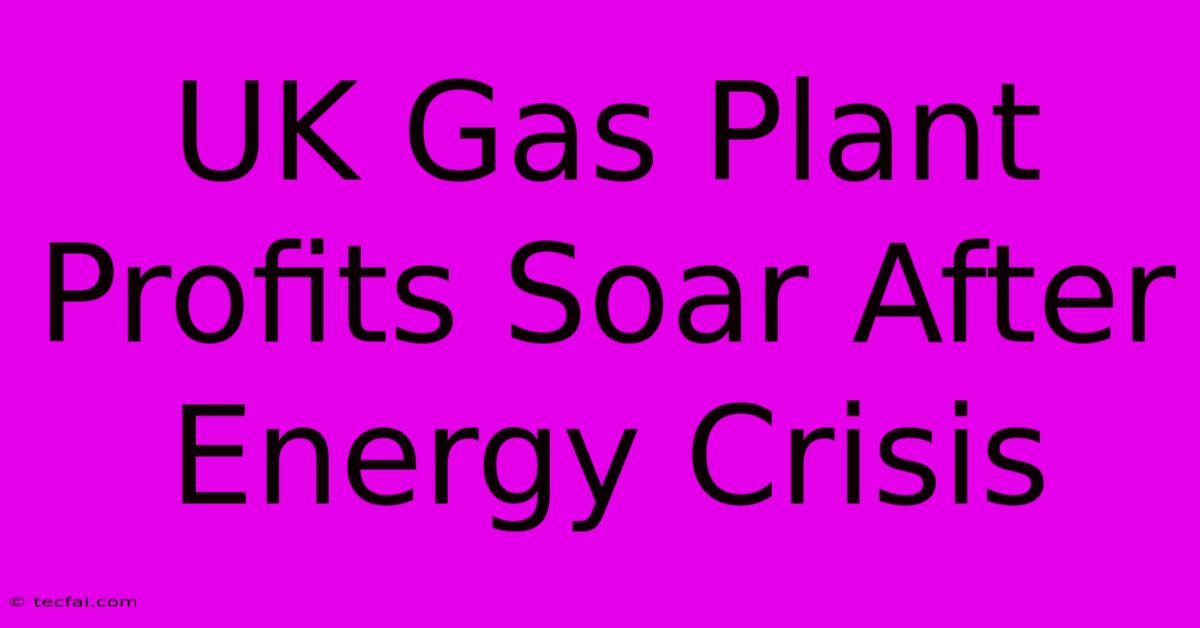 UK Gas Plant Profits Soar After Energy Crisis