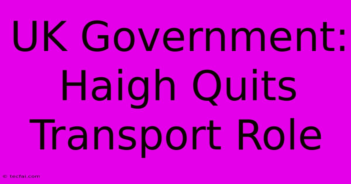 UK Government: Haigh Quits Transport Role