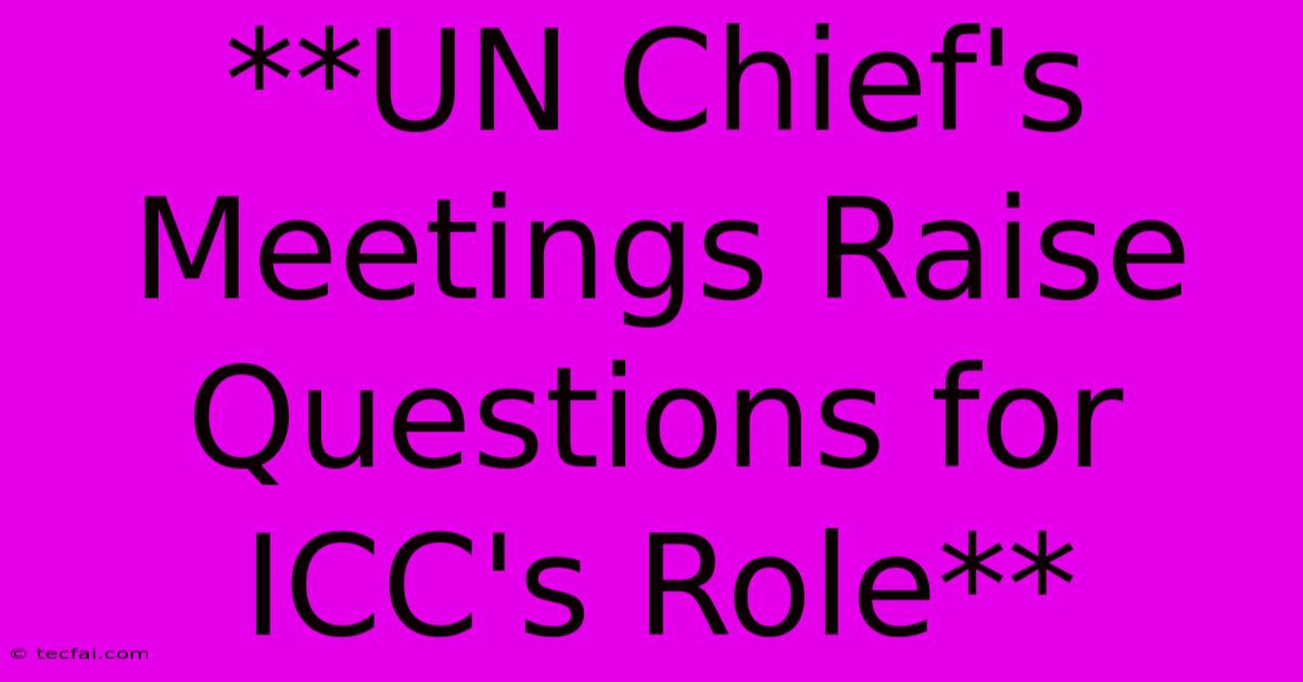 **UN Chief's Meetings Raise Questions For ICC's Role** 