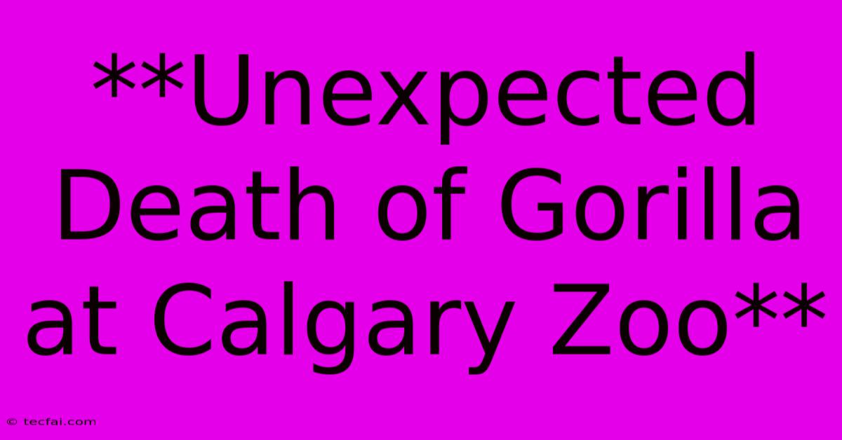 **Unexpected Death Of Gorilla At Calgary Zoo**