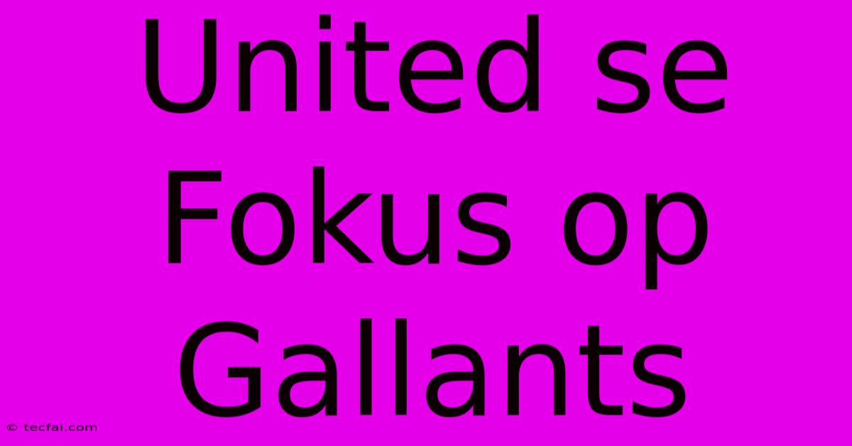 United Se Fokus Op Gallants