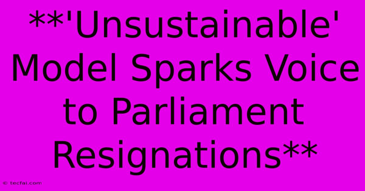 **'Unsustainable' Model Sparks Voice To Parliament Resignations**