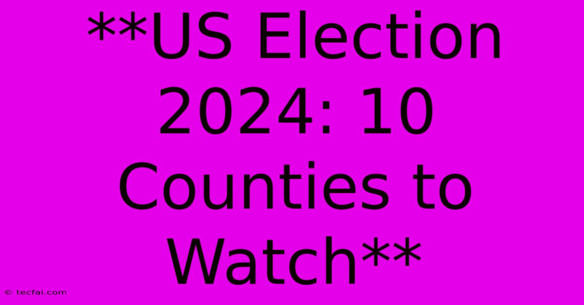 **US Election 2024: 10 Counties To Watch** 