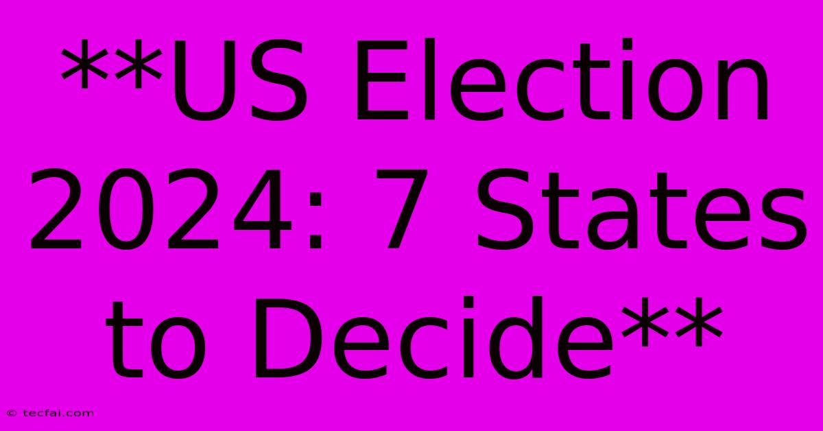 **US Election 2024: 7 States To Decide**