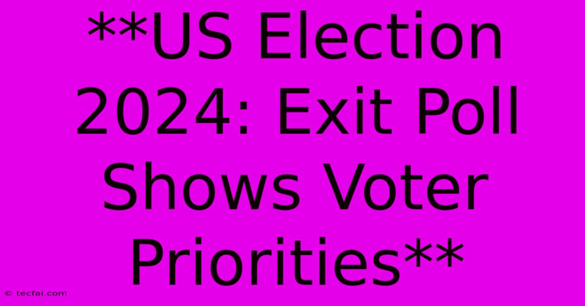 **US Election 2024: Exit Poll Shows Voter Priorities**