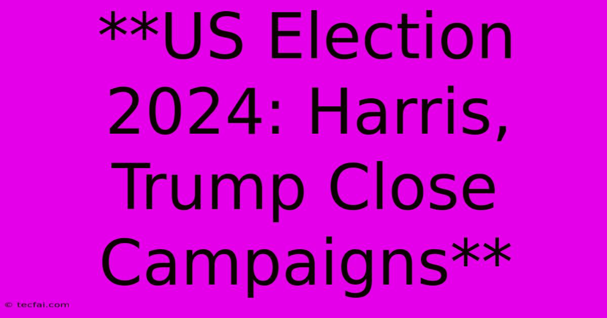 **US Election 2024: Harris, Trump Close Campaigns**