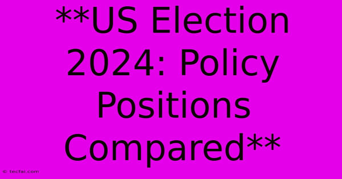 **US Election 2024: Policy Positions Compared**