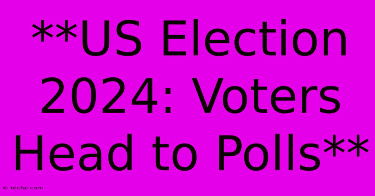 **US Election 2024: Voters Head To Polls**