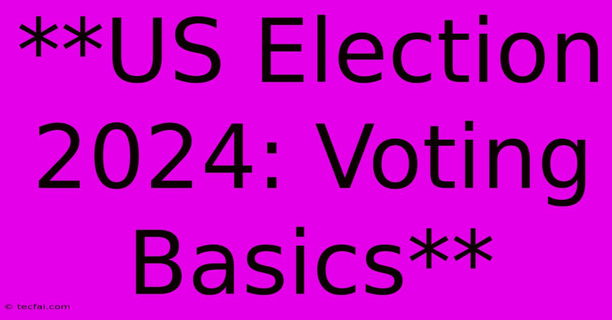 **US Election 2024: Voting Basics**