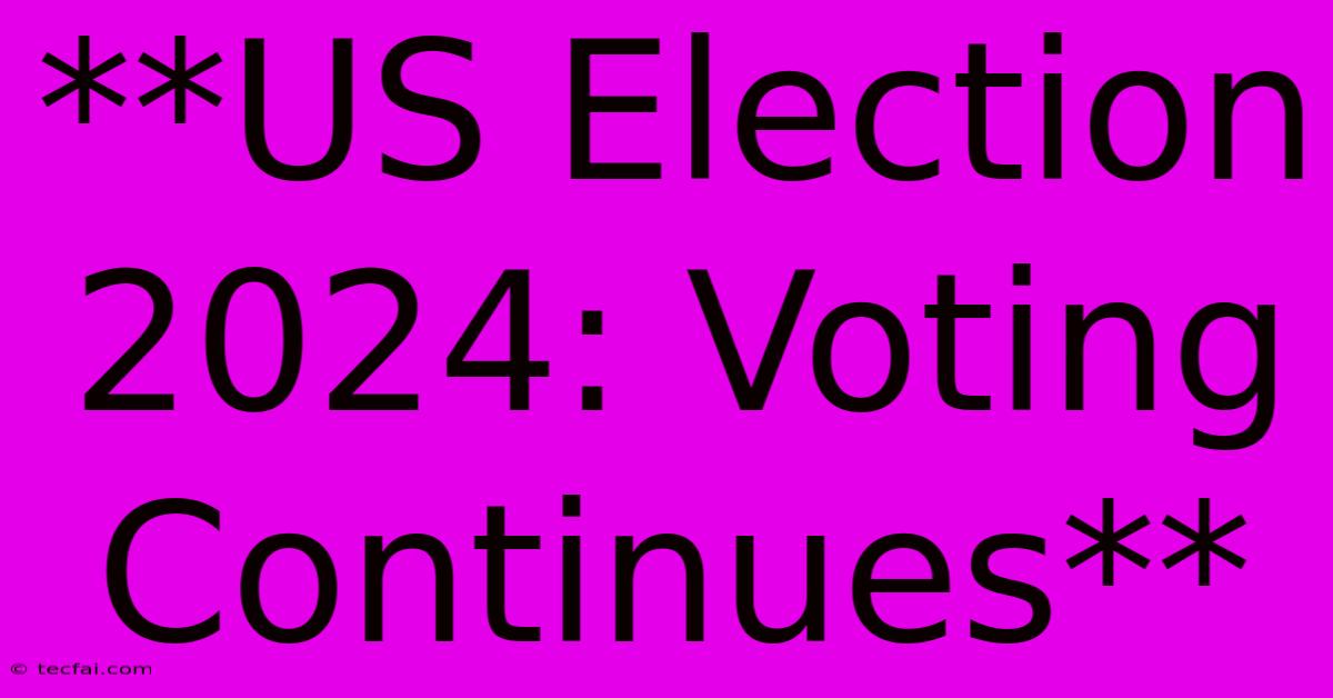 **US Election 2024: Voting Continues** 