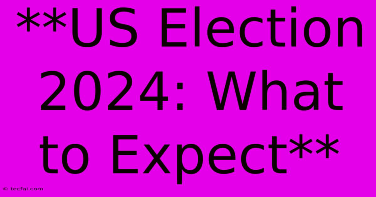 **US Election 2024: What To Expect** 