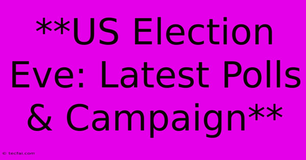 **US Election Eve: Latest Polls & Campaign**