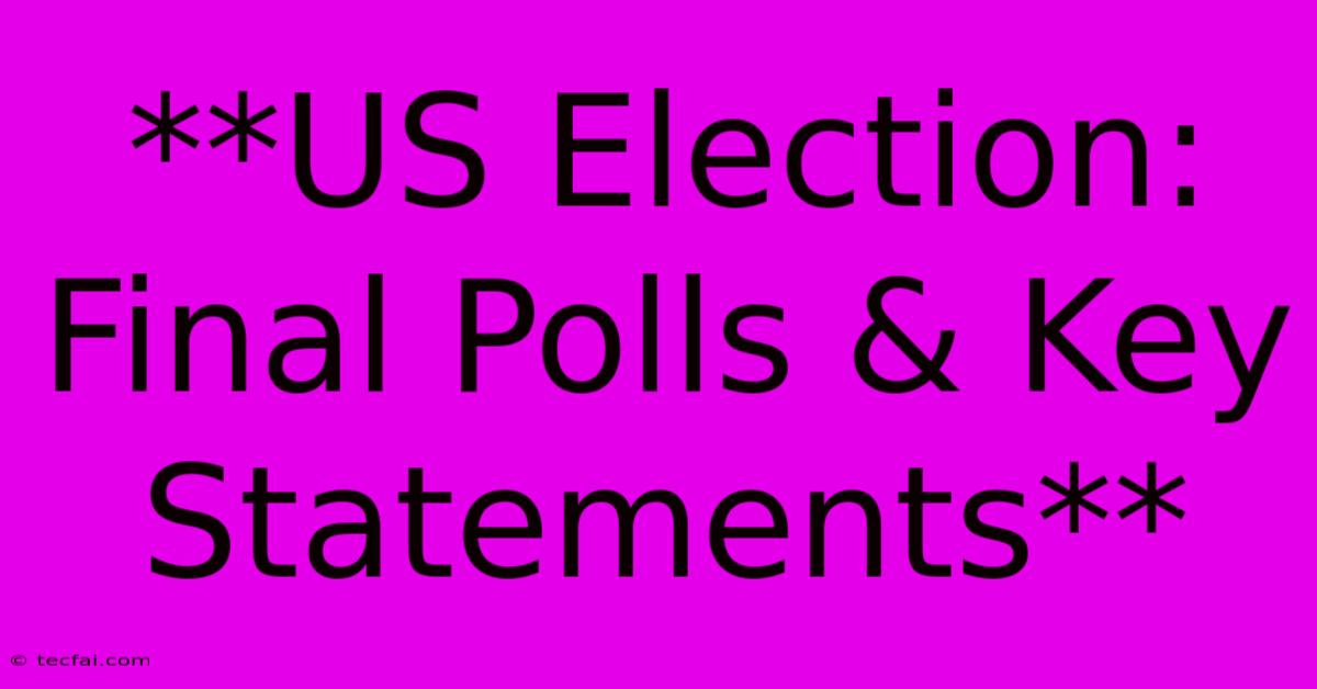 **US Election: Final Polls & Key Statements**