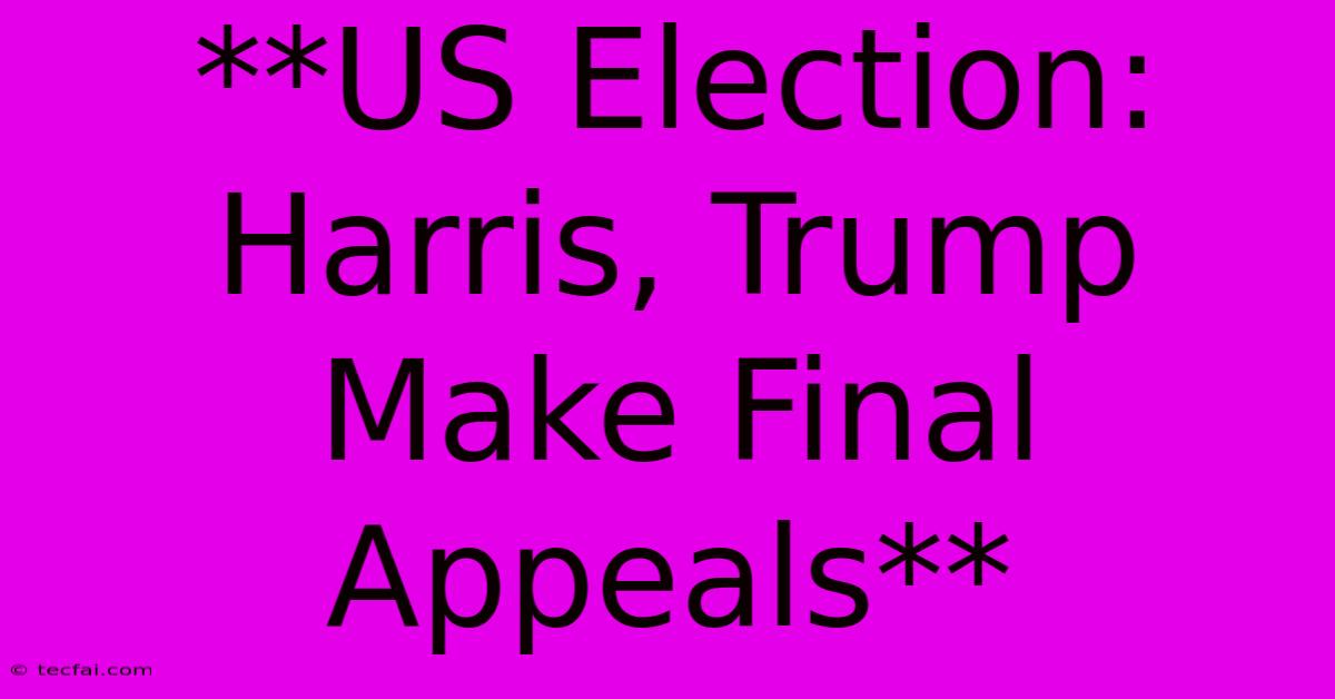 **US Election: Harris, Trump Make Final Appeals**