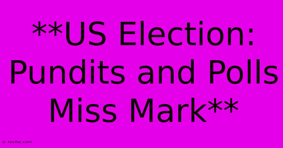 **US Election: Pundits And Polls Miss Mark**