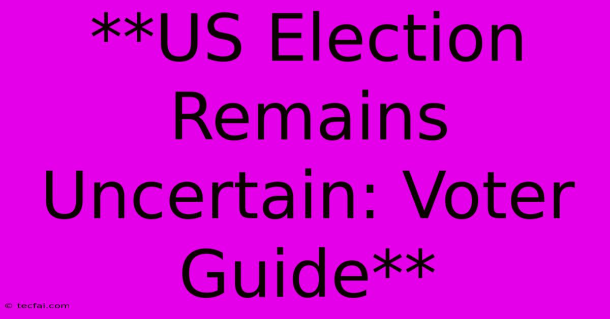 **US Election Remains Uncertain: Voter Guide** 