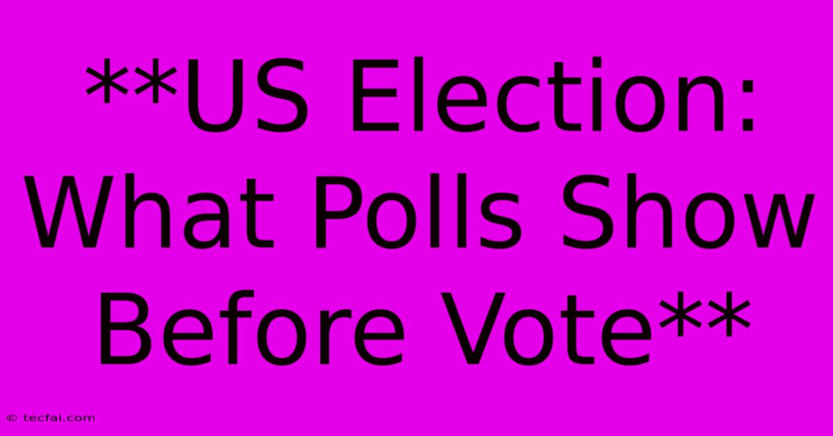 **US Election: What Polls Show Before Vote**