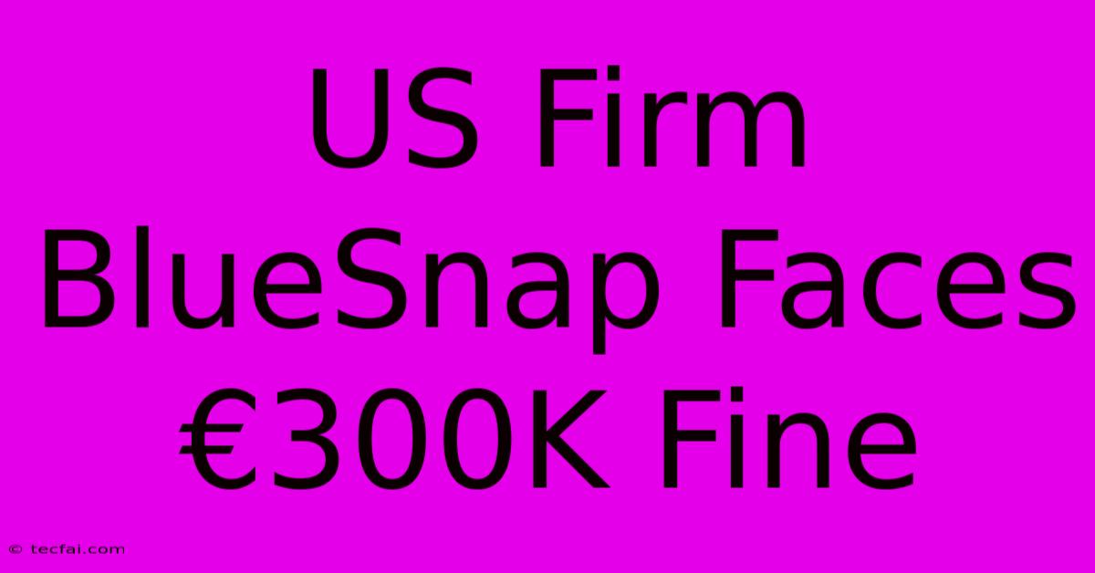 US Firm BlueSnap Faces €300K Fine