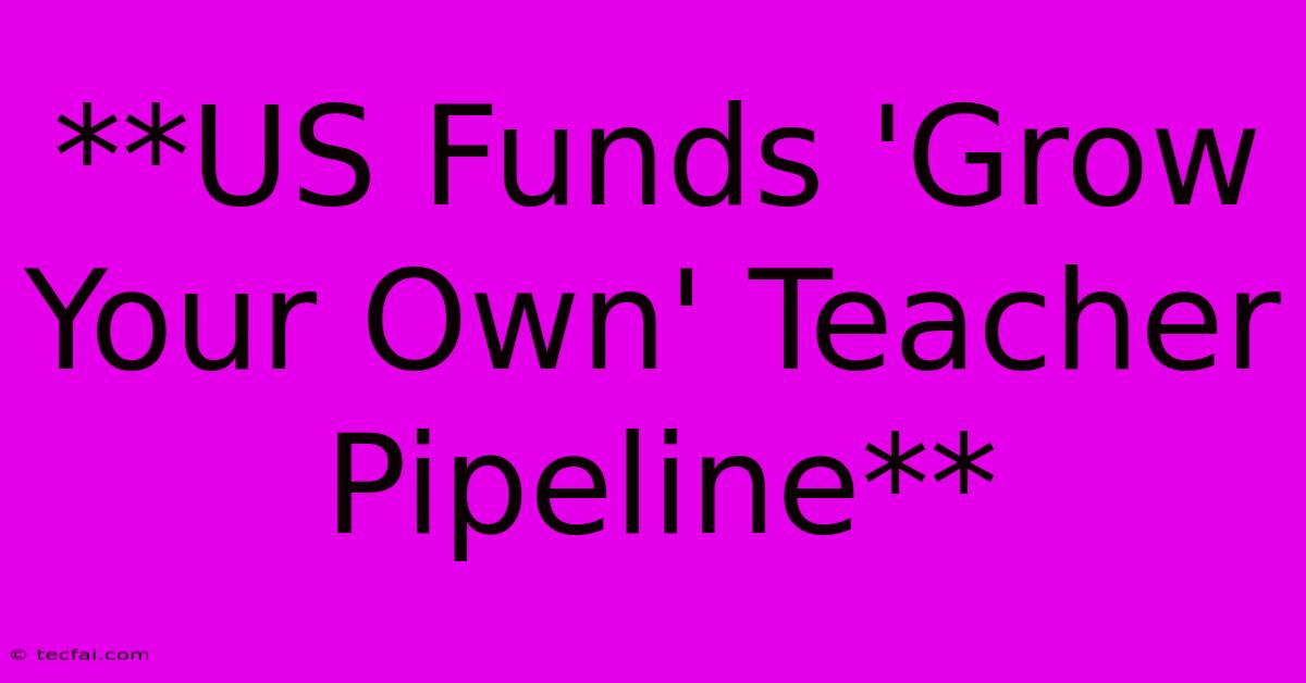 **US Funds 'Grow Your Own' Teacher Pipeline**