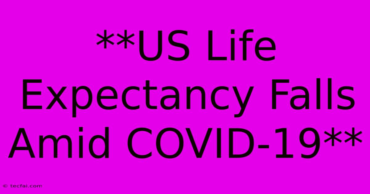 **US Life Expectancy Falls Amid COVID-19**