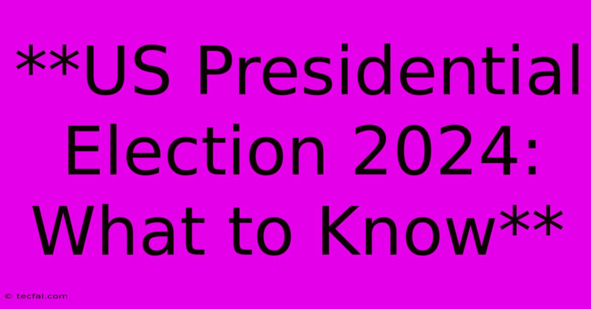 **US Presidential Election 2024: What To Know**