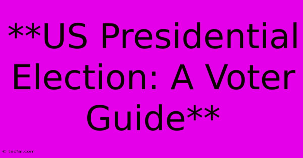 **US Presidential Election: A Voter Guide**