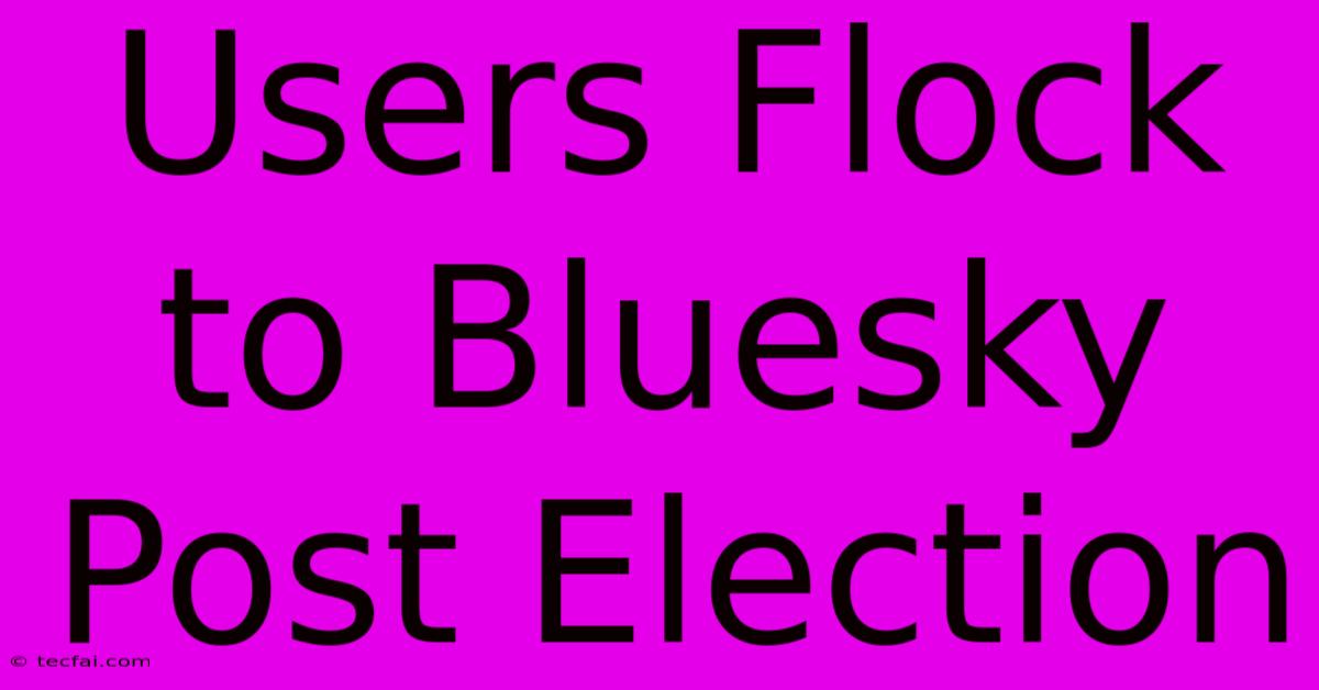 Users Flock To Bluesky Post Election