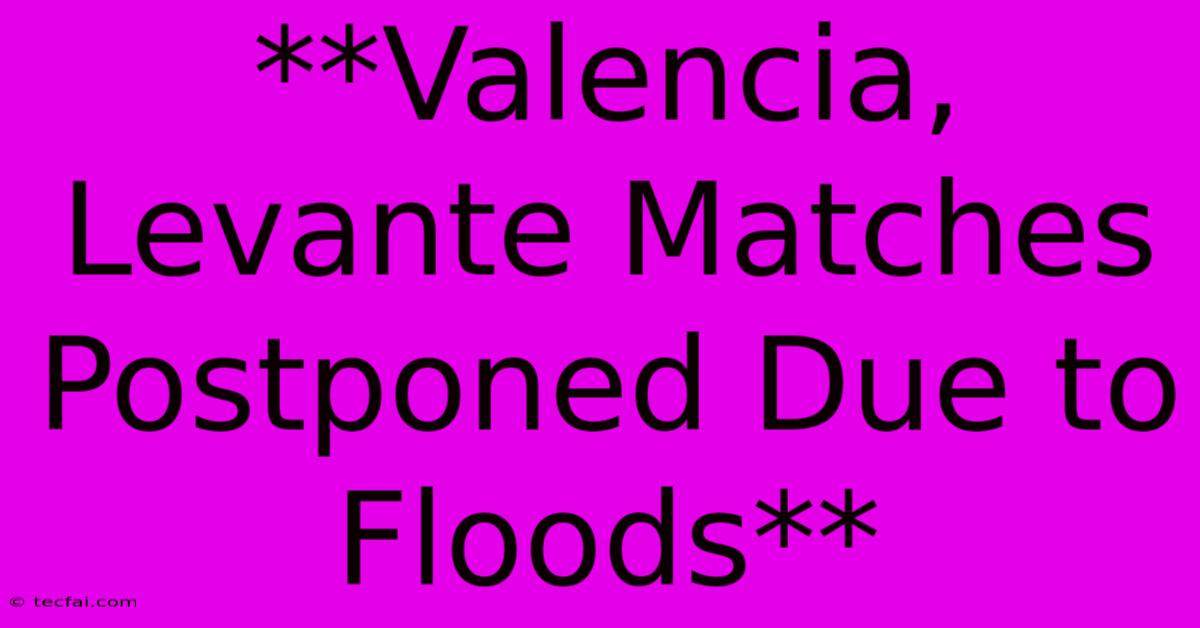 **Valencia, Levante Matches Postponed Due To Floods**