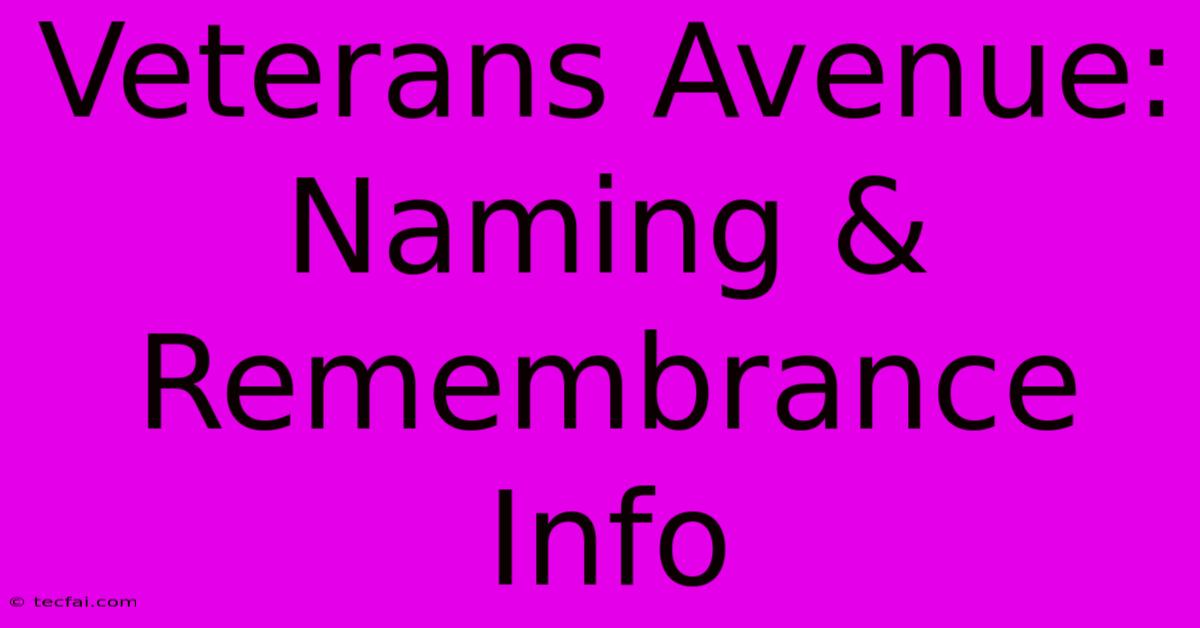 Veterans Avenue: Naming & Remembrance Info