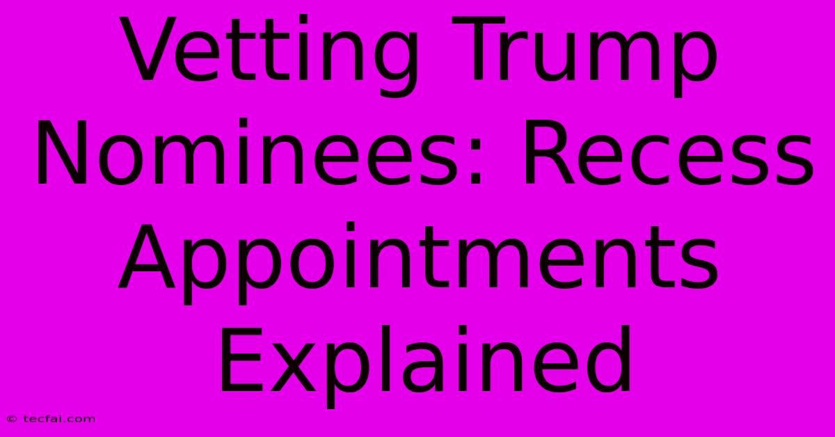 Vetting Trump Nominees: Recess Appointments Explained