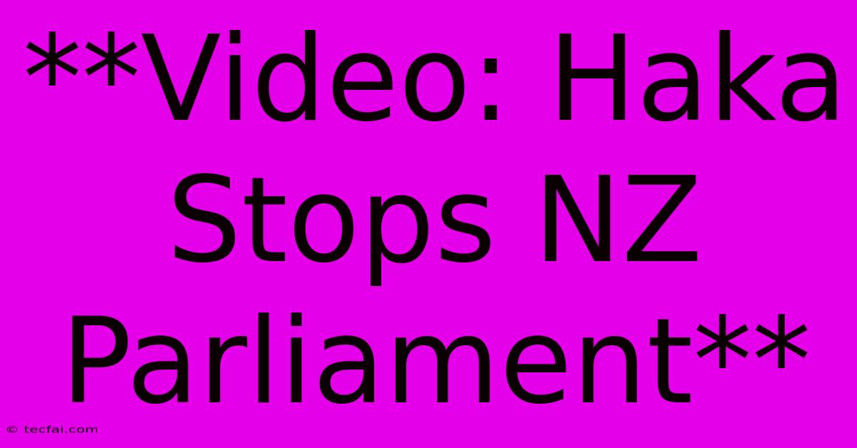 **Video: Haka Stops NZ Parliament** 