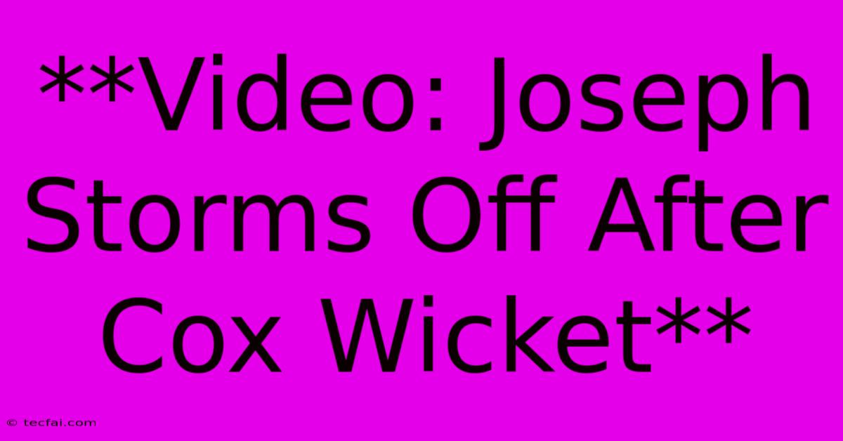 **Video: Joseph Storms Off After Cox Wicket**