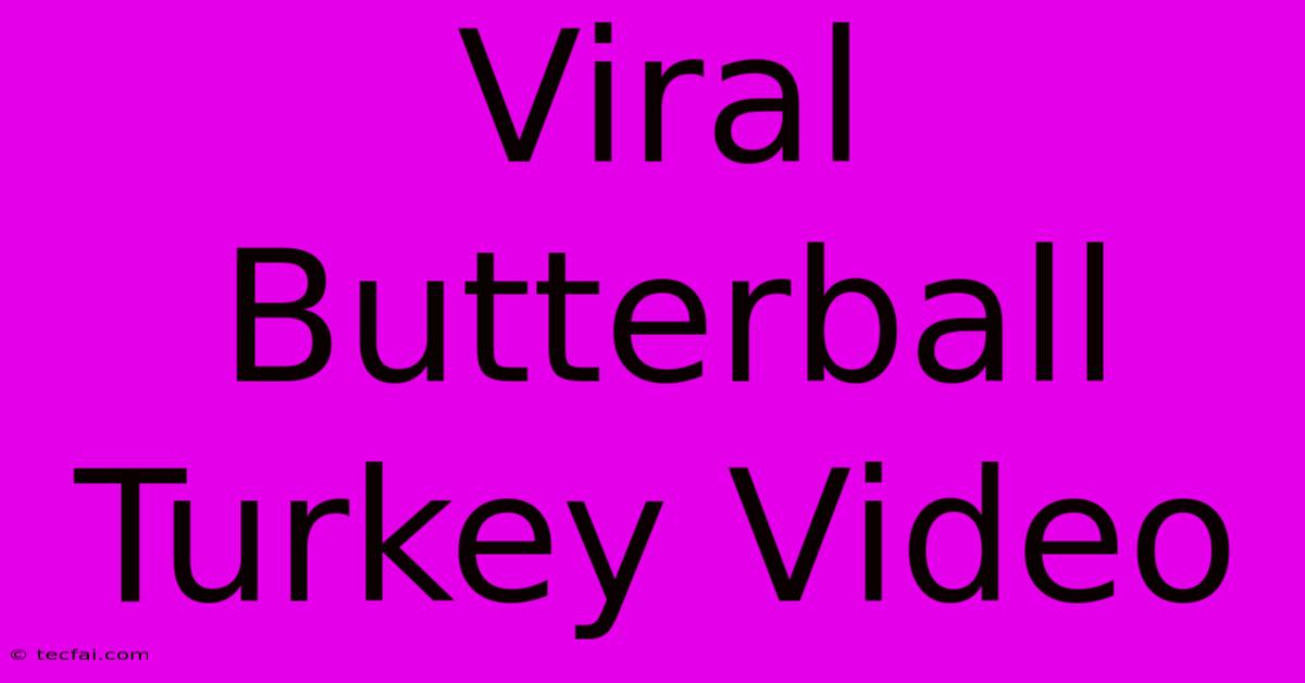 Viral Butterball Turkey Video