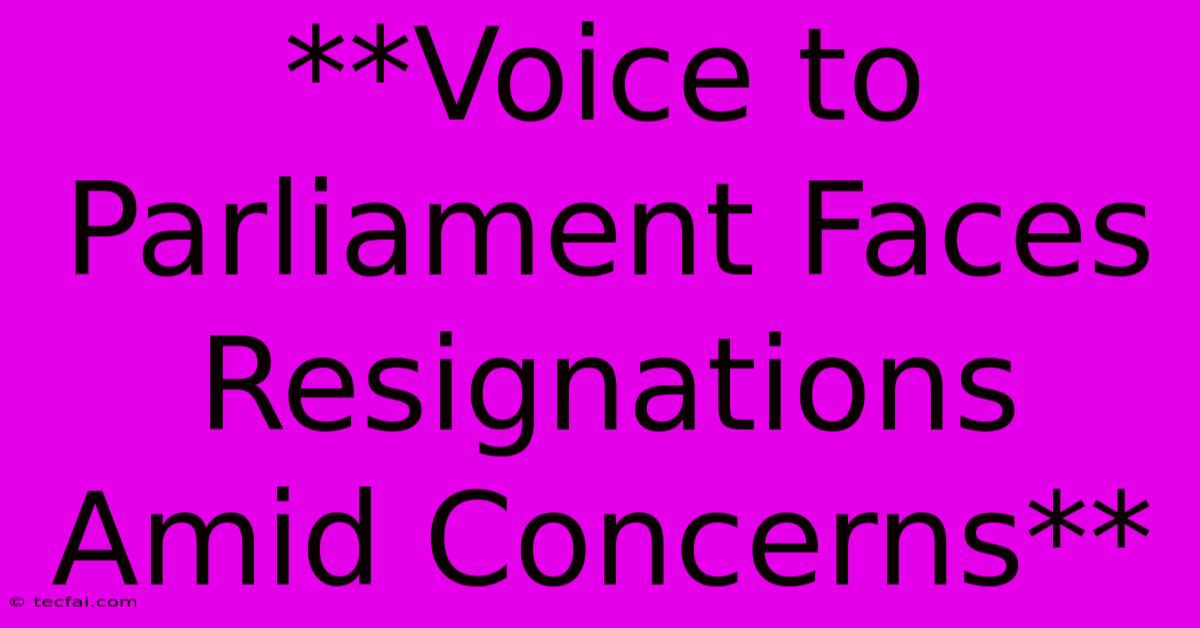 **Voice To Parliament Faces Resignations Amid Concerns**