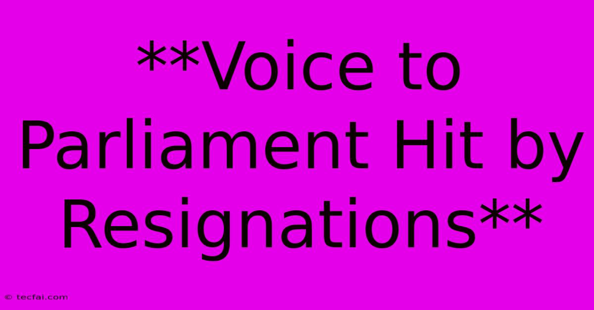 **Voice To Parliament Hit By Resignations**