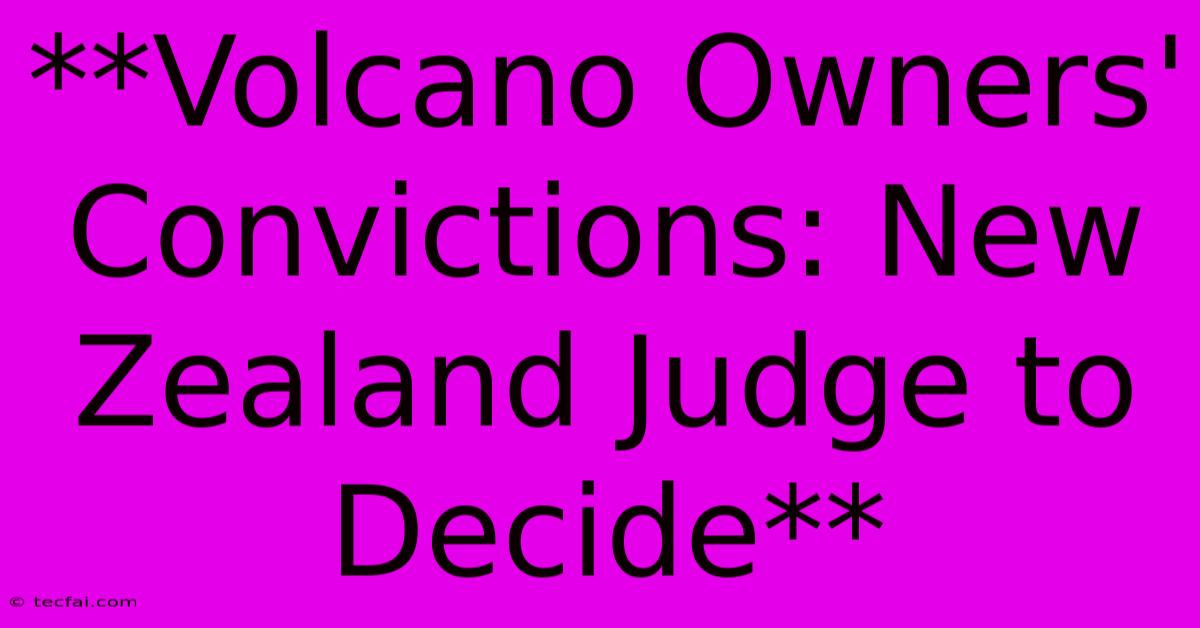 **Volcano Owners' Convictions: New Zealand Judge To Decide**