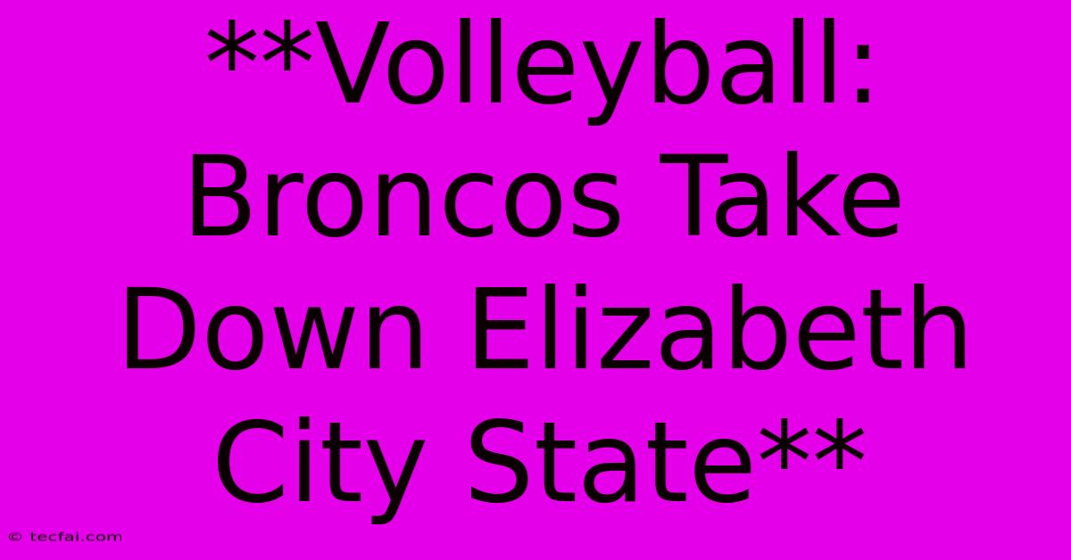 **Volleyball: Broncos Take Down Elizabeth City State**