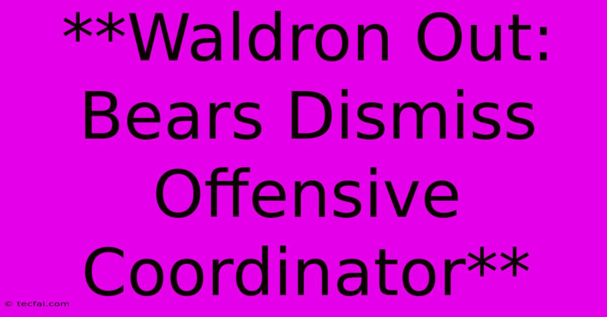 **Waldron Out: Bears Dismiss Offensive Coordinator**