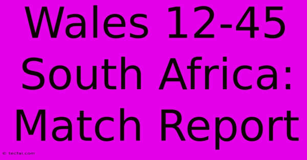 Wales 12-45 South Africa: Match Report