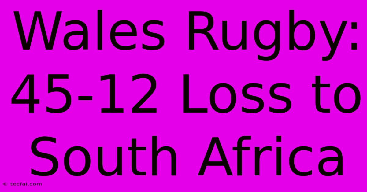 Wales Rugby: 45-12 Loss To South Africa