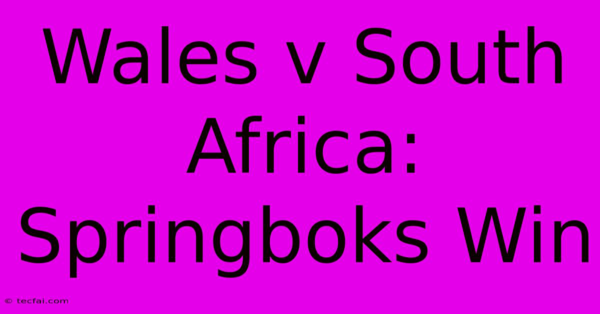 Wales V South Africa: Springboks Win